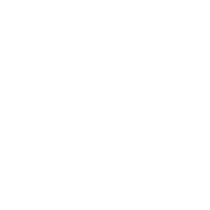 LOGO-BRANCO-SEM-FUNDO-PITTAS